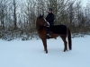 FB_IMG_1520232620052