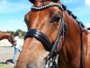 Resized_20180623_130900_3447